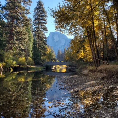 Fall Colors with the Sentinel Bridge and Half Dome Yosemite
