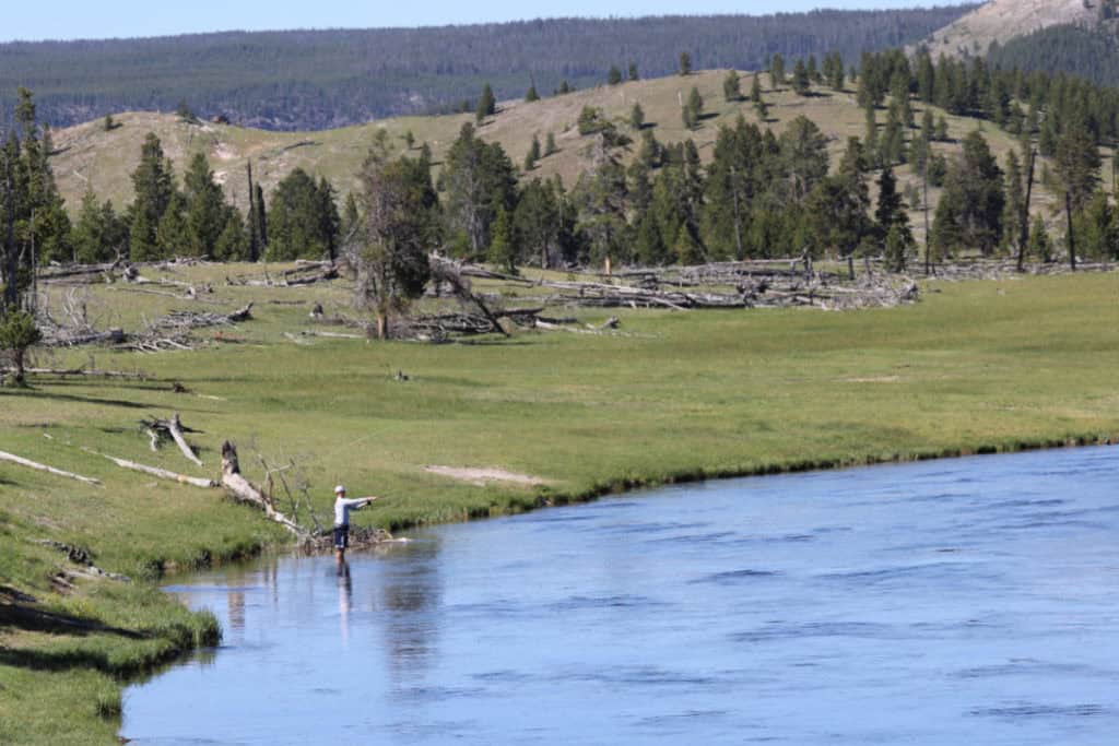 Fly Fishing in Yellowstone