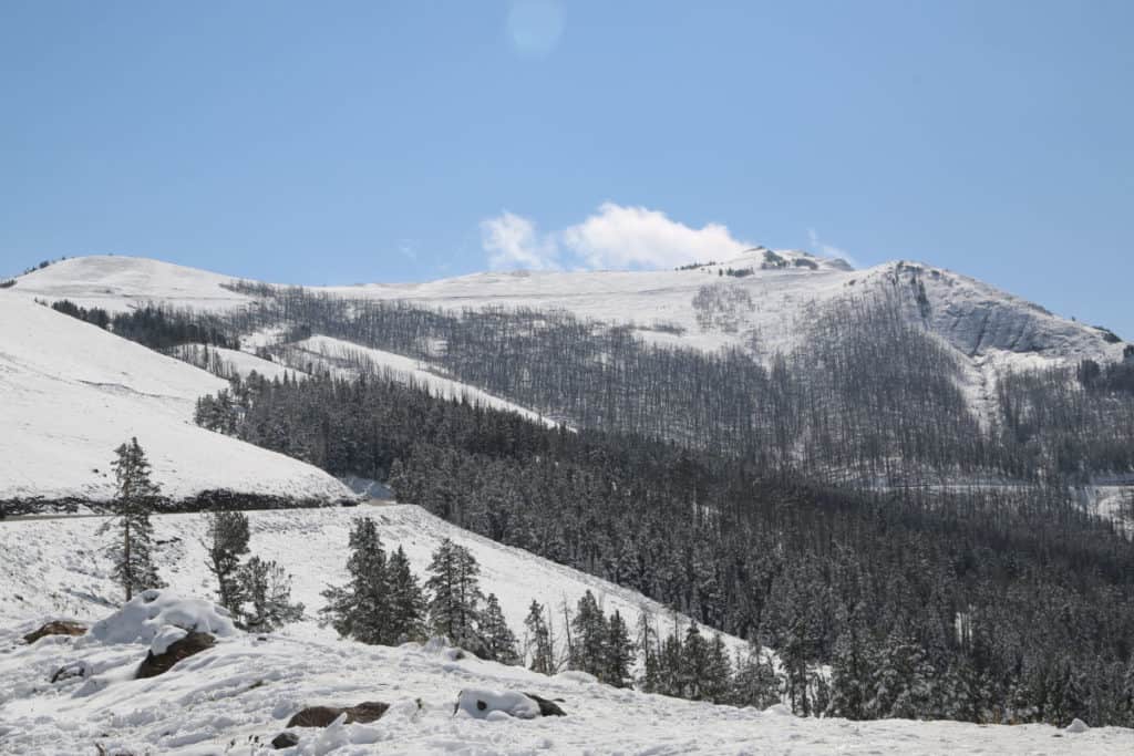 Snow capped mountains in Yellowsrone Winter