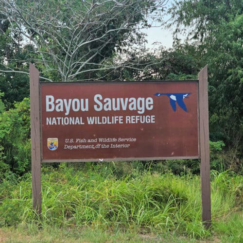 Bayou Sauvage Urban National Wildlife Refuge - Louisiana | Park Ranger John