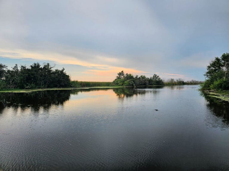 Bayou Sauvage Urban National Wildlife Refuge - Louisiana | Park Ranger John