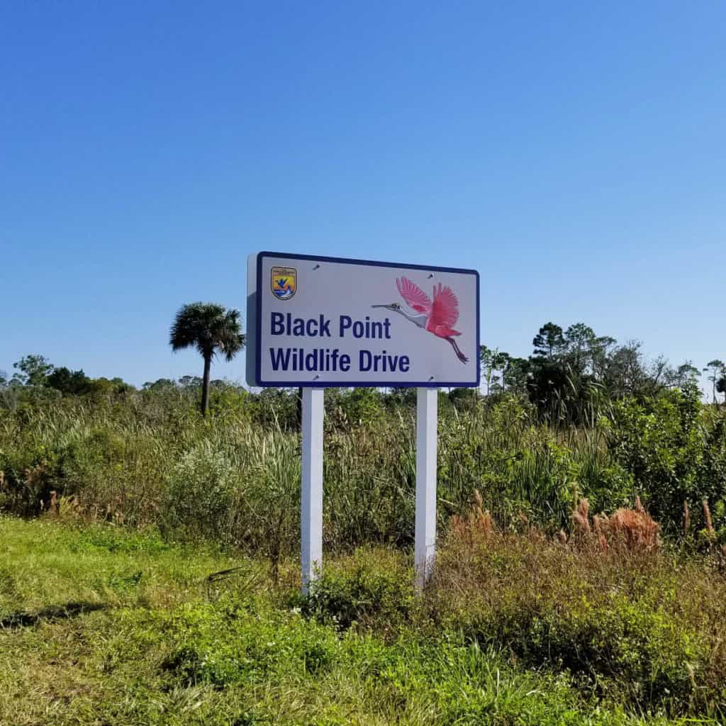Black Point Wildlife Drive Sign Merritt Island NWR