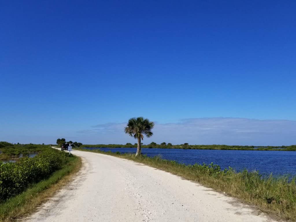 Black Point Wildlife Drive gravel road