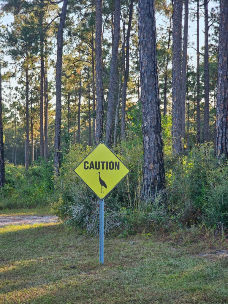Caution for Sandhill Cranes sign at Mississippi Sandhill Crane NWR
