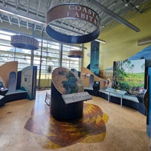 Displays in Grand Bay National Wildlife Refuge Visitor Center