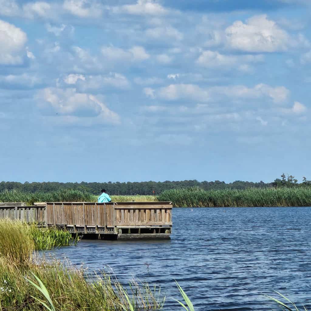 Dock along Lake Road in Big Branch Marsh NWR