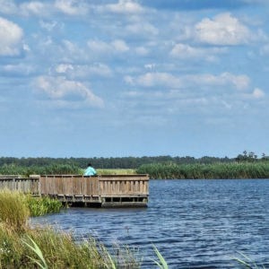 Dock along Lake Road in Big Branch Marsh NWR