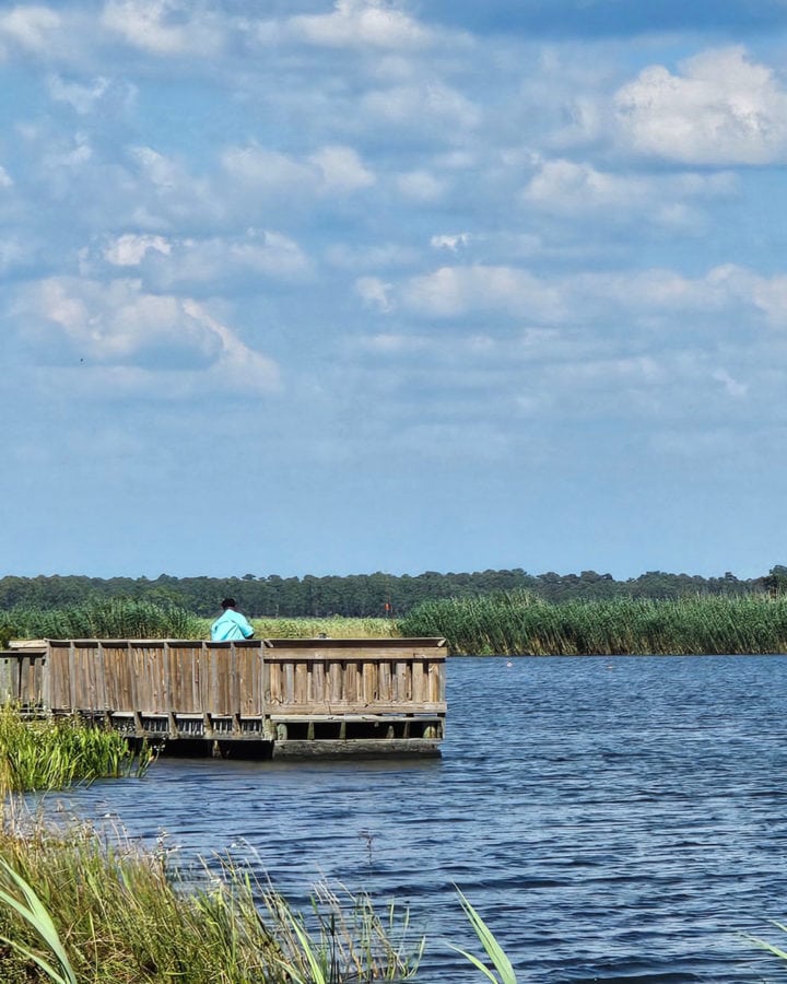 Dock along Lake Road in Big Branch Marsh NWR