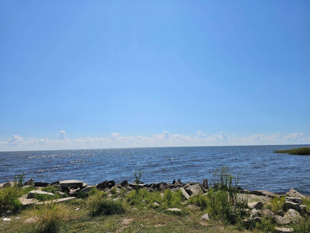 Lake Pontchartrain Overlook at Big Branch Marsh NWR