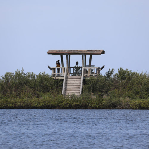 Merritt Island National Wildlife Refuge - Florida | Park Ranger John
