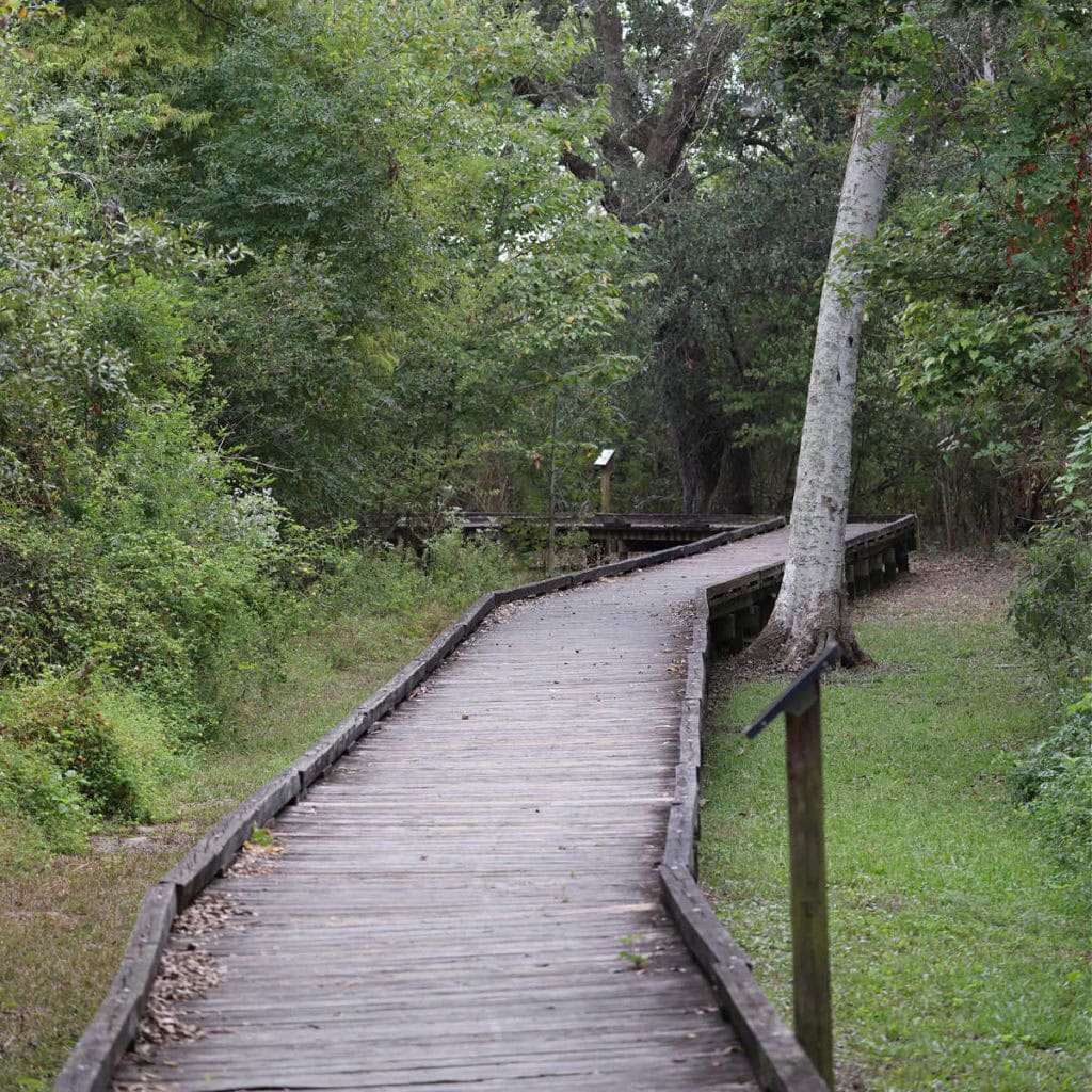Ridge Trail Boardwalk at Bayou Sauvage NWR