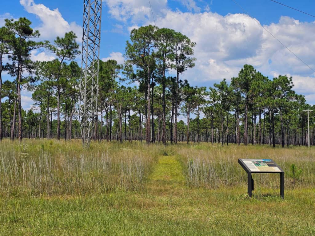 Savanna Trail at Grand Bay NWR