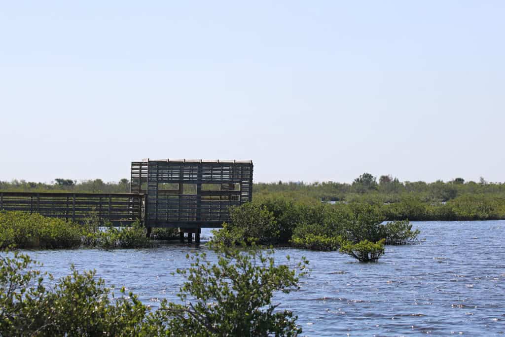 The Wild Bird Trail has two Observation Platforms