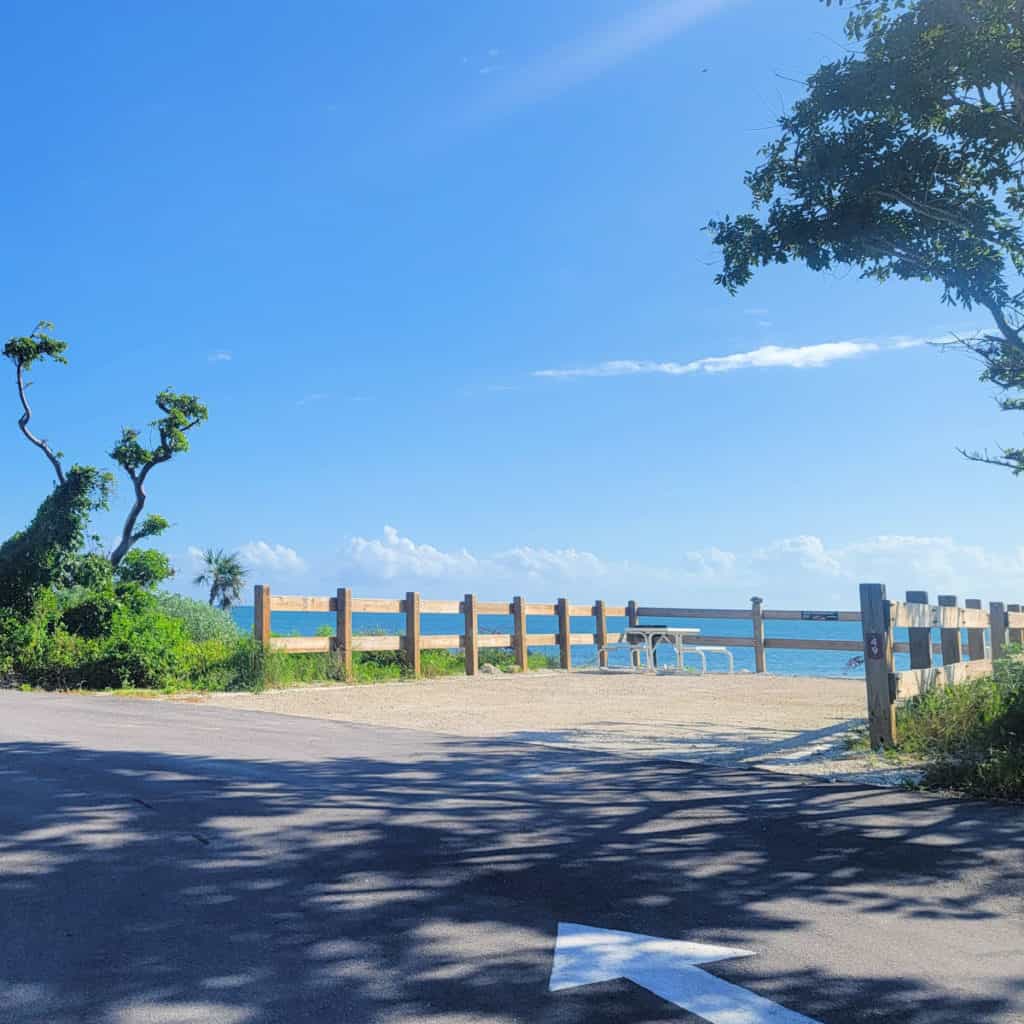 Campsite 49 Buttonwood Campground at Bahia Honda State Park in Florida