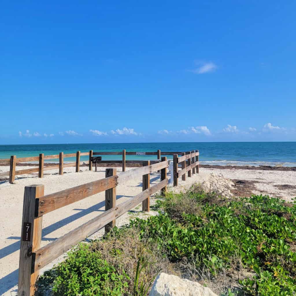 Campsite 71 Buttonwood Campground at Bahia Honda State Park in Florida