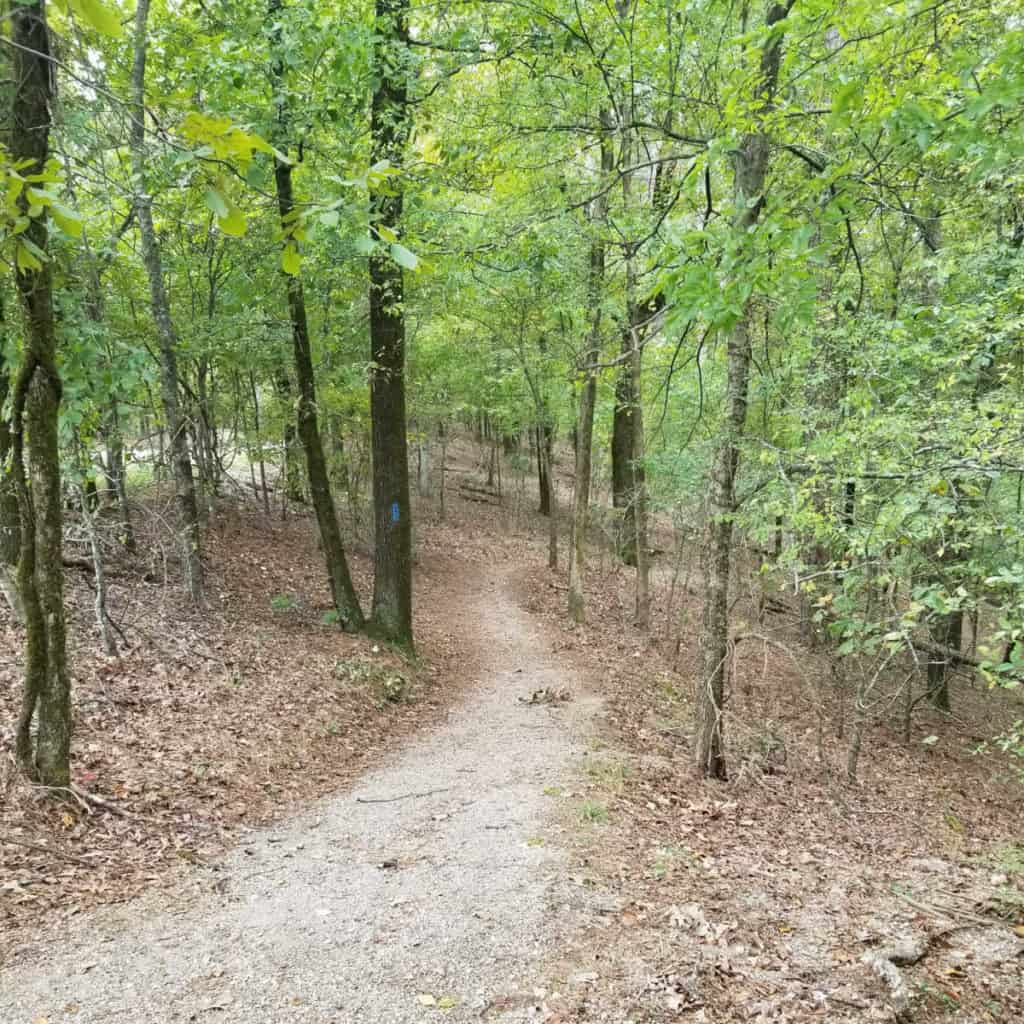 Canyon Trail Hot Springs National Park