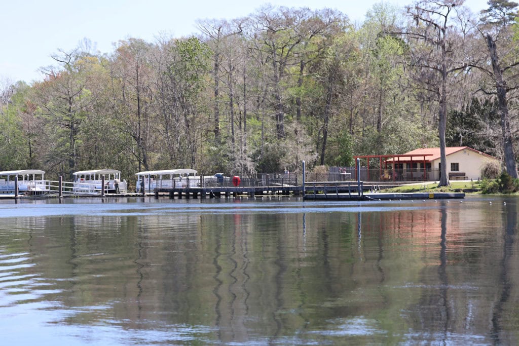 Boats used for boat tours at Wakulla Springs Lodge