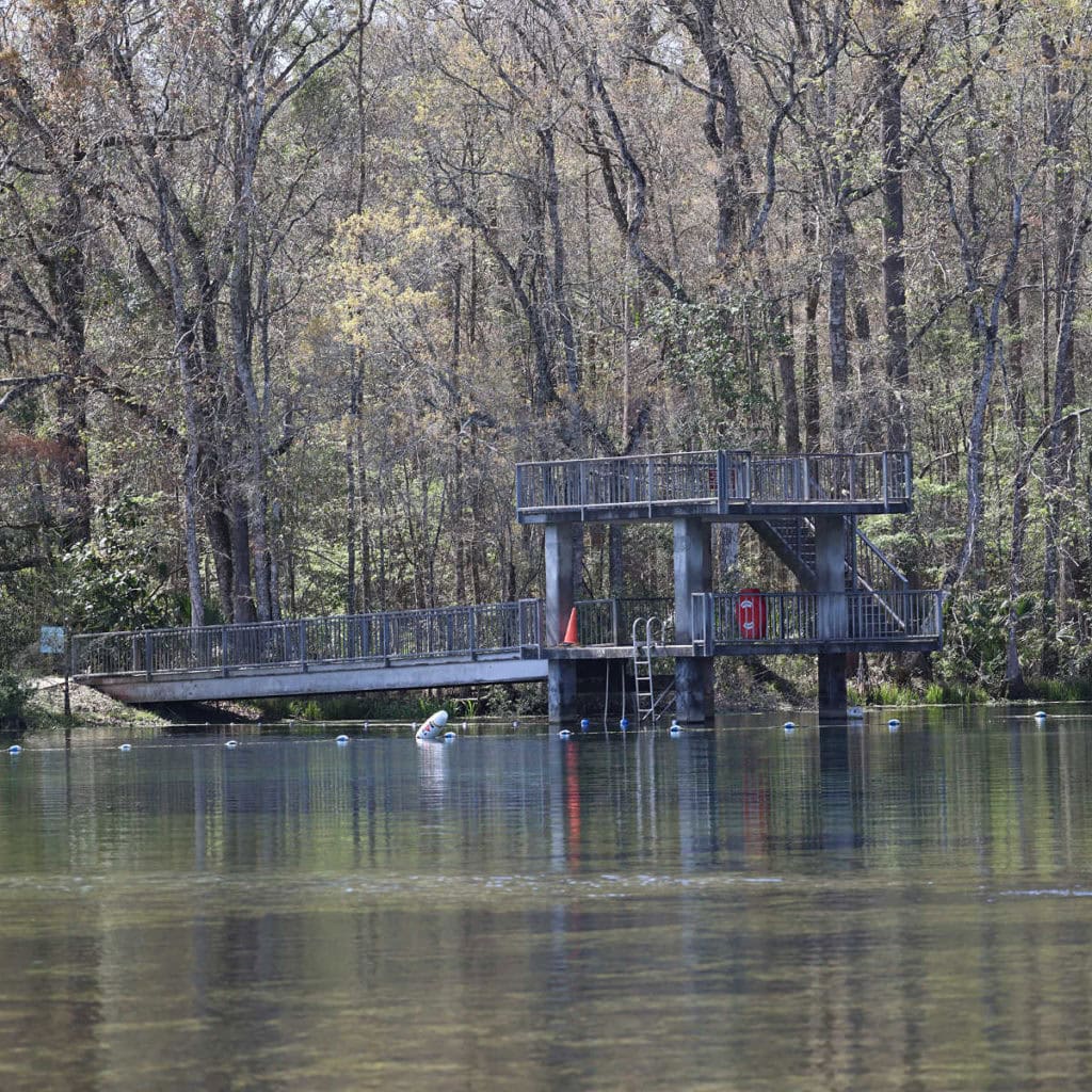 Springs at Wakulla Springs State Park