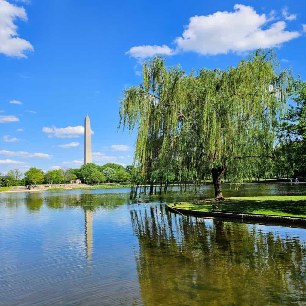 Washington Monument from the Constitution Gardens