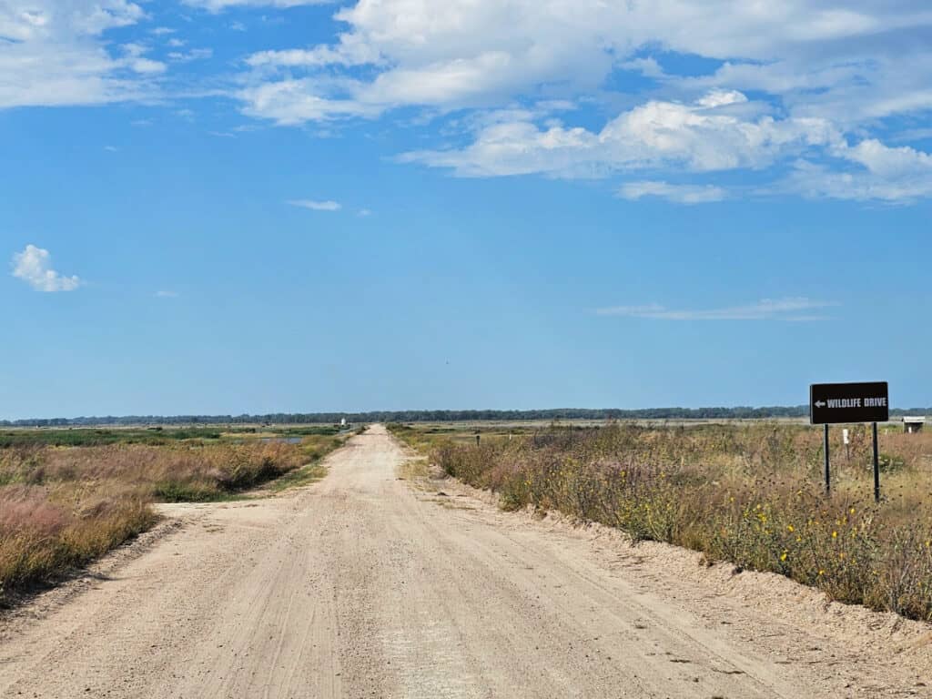 Auto Tour at Quivira National Wildlife Refuge