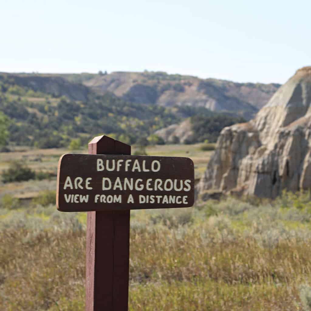 Buffalo are dangerous sign at Theodore Roosevelt National Park