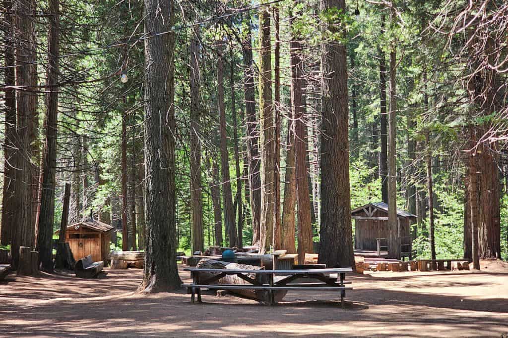 Half Way Point on the Yosemite Mountain Sugar Pine Railroad