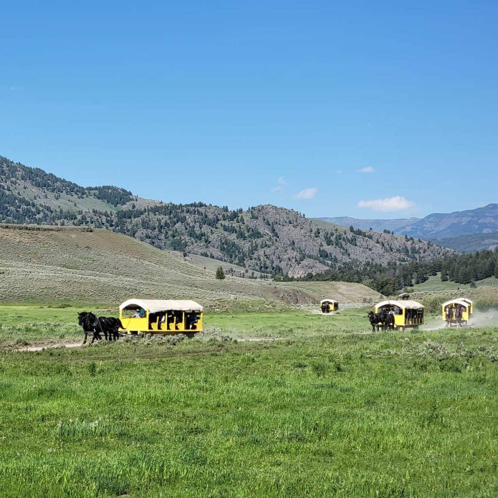 Stagecoach Ride to an Old West Dinner Cookout from Roosevelt Lodge