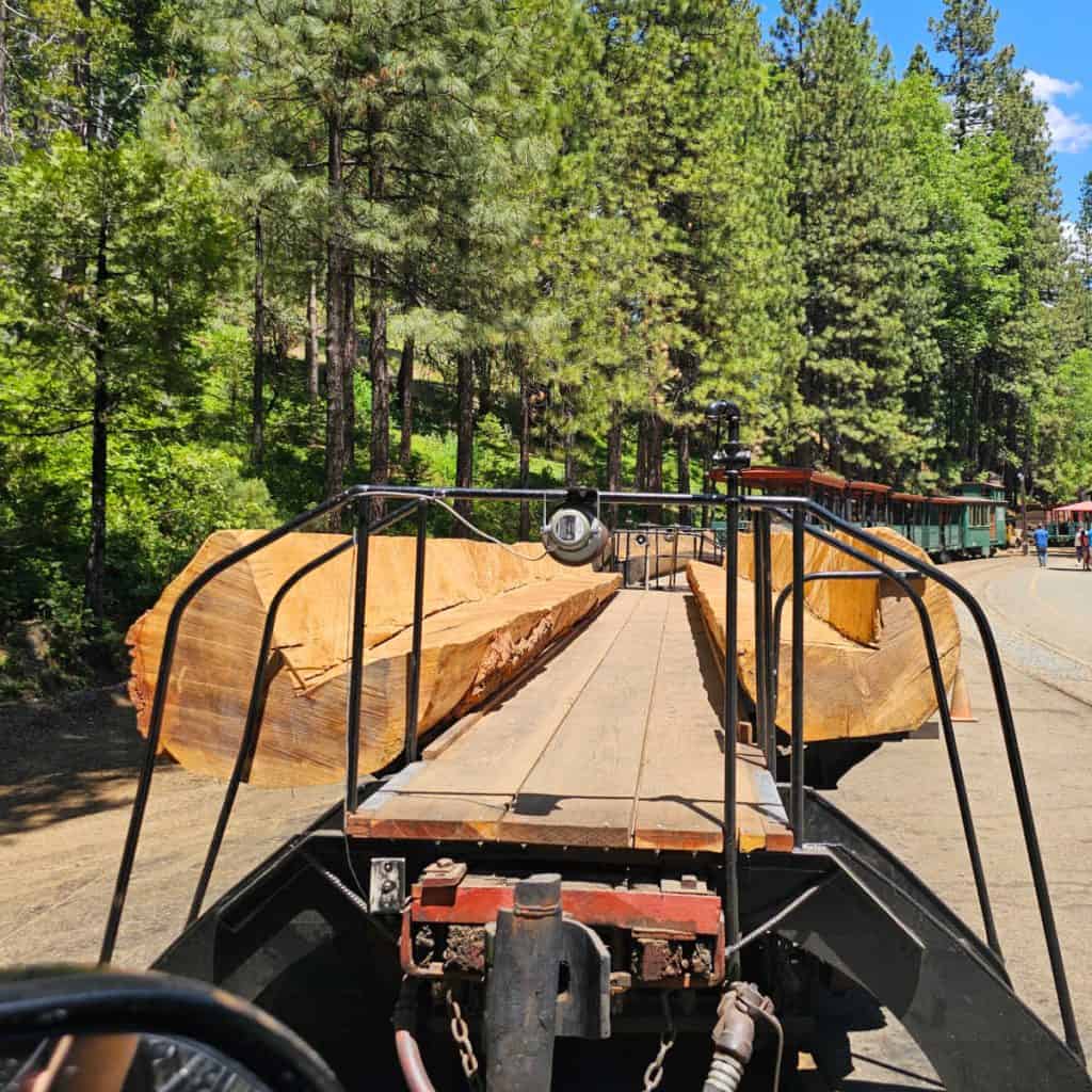 The Logger at Yosemite Mountain Sugar Pine RR